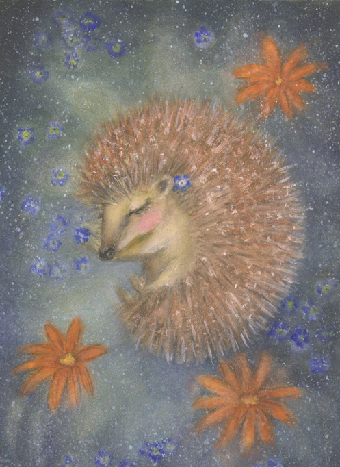 hedgehog